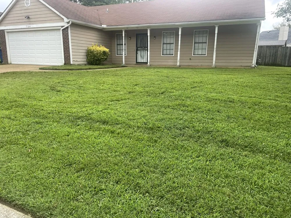Local yard cleanup service for homes across Byhalia, MS - Ordonez Landscaping