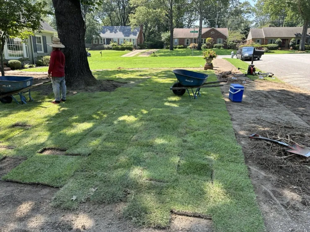 Professional landscape design in Byhalia, MS - Ordonez Landscaping