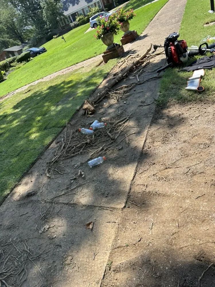 Professional lawn care service for outdoor upgrades in Byhalia, MS by Ordonez Landscaping