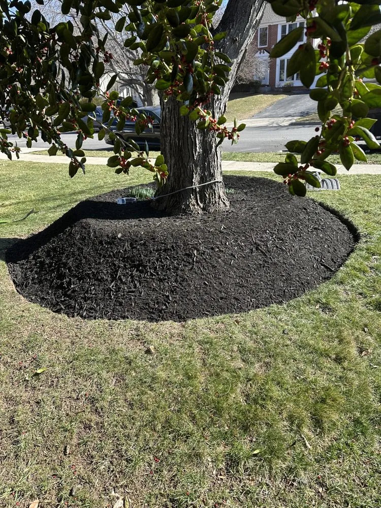 Expert lawn care service experts serving Dale City, VA - Ordonez Multiservices