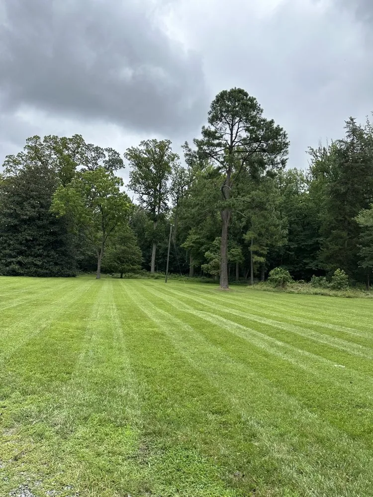 Affordable outdoor landscaping for homes in Dale City, VA by Ordonez Multiservices