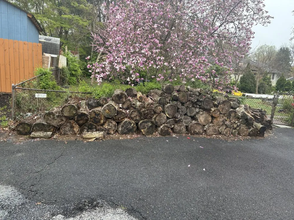 Local yard maintenance for beautiful yards in Dale City, VA by Ordonez Multiservices