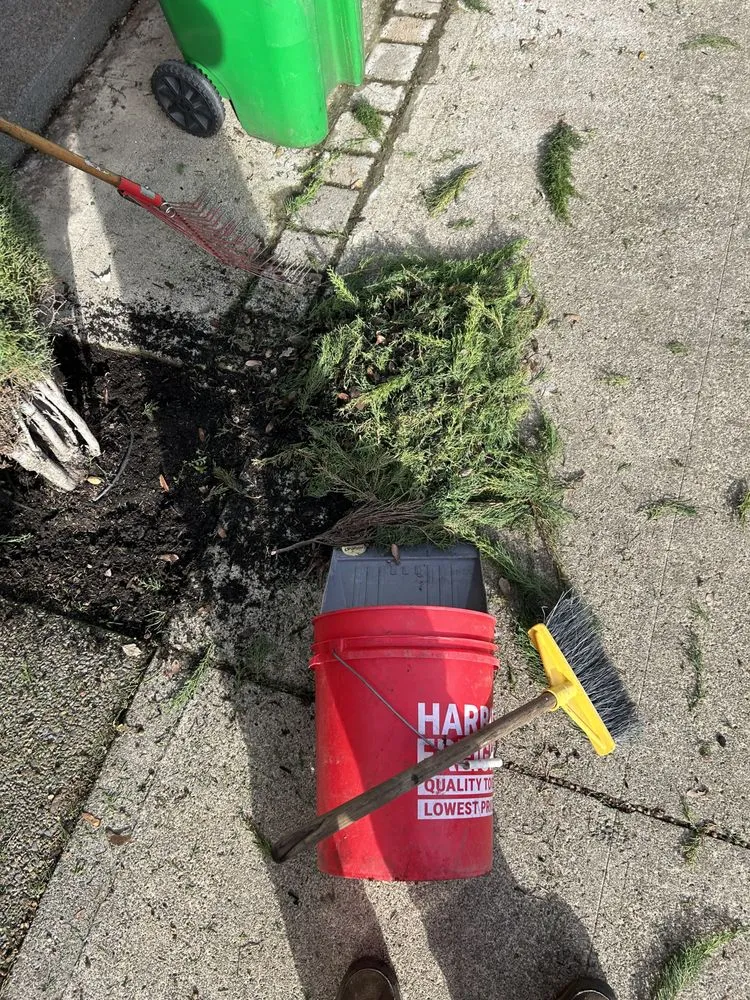 Top-rated landscape design in Portland, OR - Ore-Green Gardening