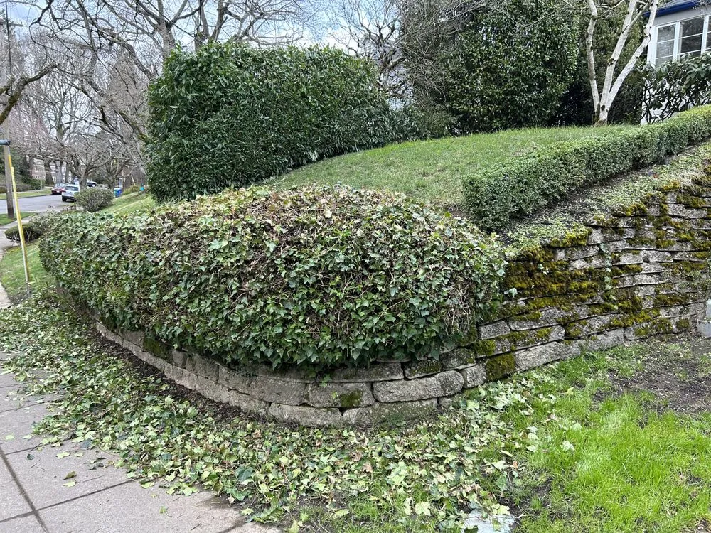 Local lawn mowing service near you across Portland, OR - Ore-Green Gardening