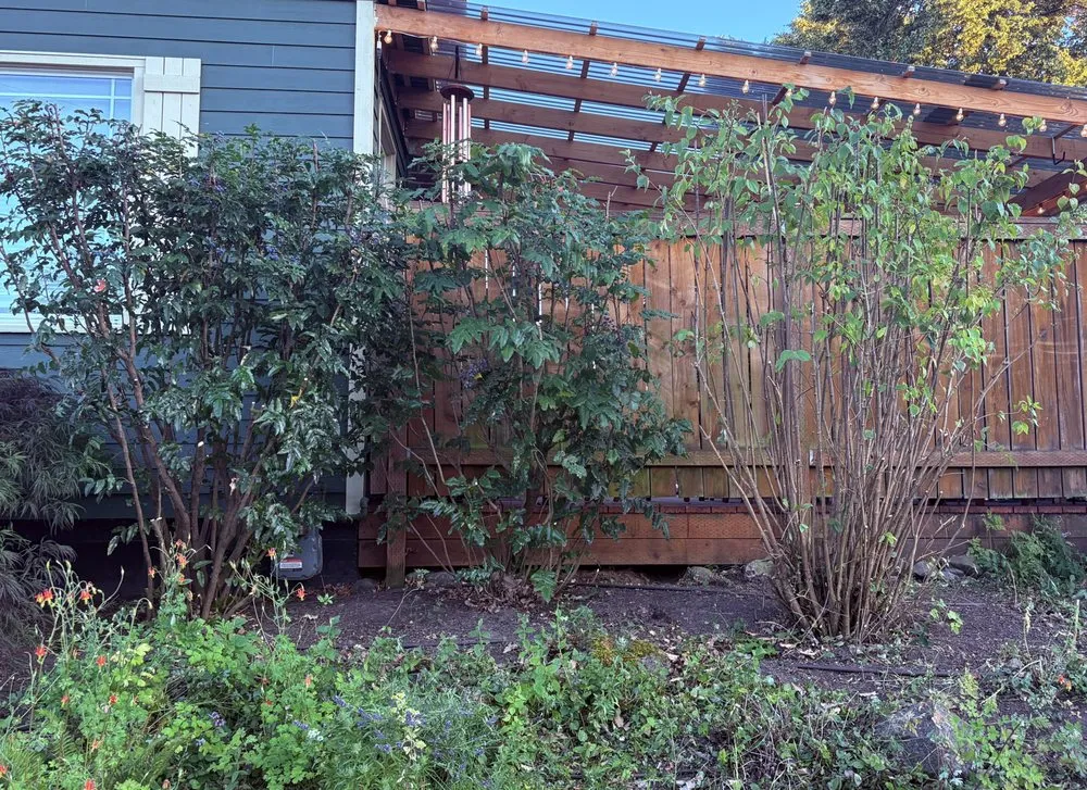 Professional garden landscaping experts serving Portland, OR - Ore-Green Gardening
