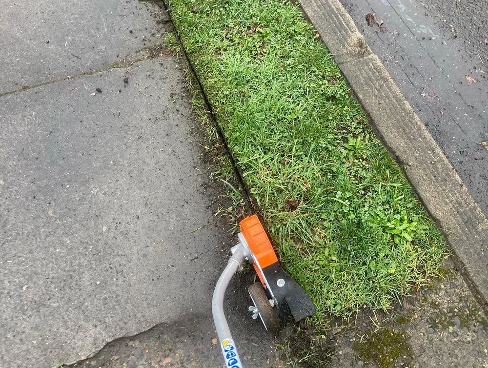 Expert yard cleanup service near you in Portland, OR by Ore-Green Gardening