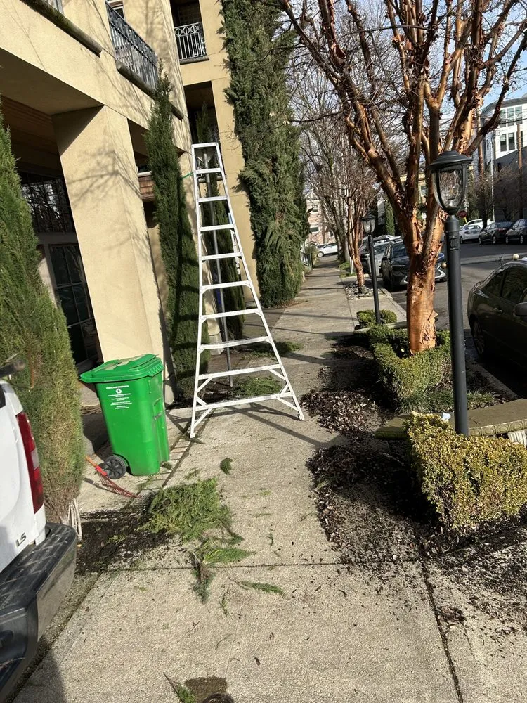 Custom residential landscaping experts serving Portland, OR - Ore-Green Gardening