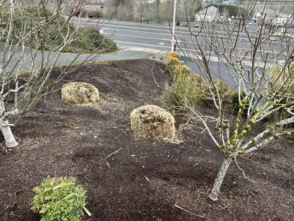 Reliable lawn mowing service for residential properties in Portland, OR by Ore-Green Gardening