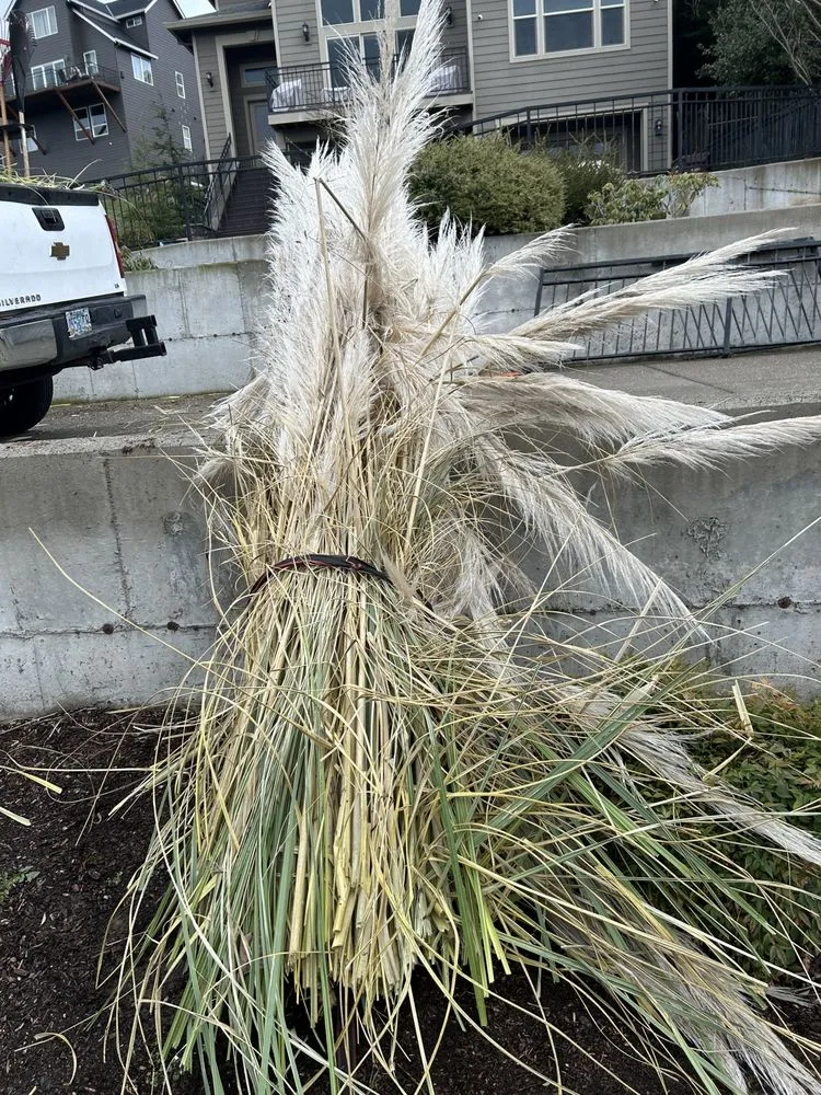 Affordable lawn mowing service in Portland, OR - Ore-Green Gardening