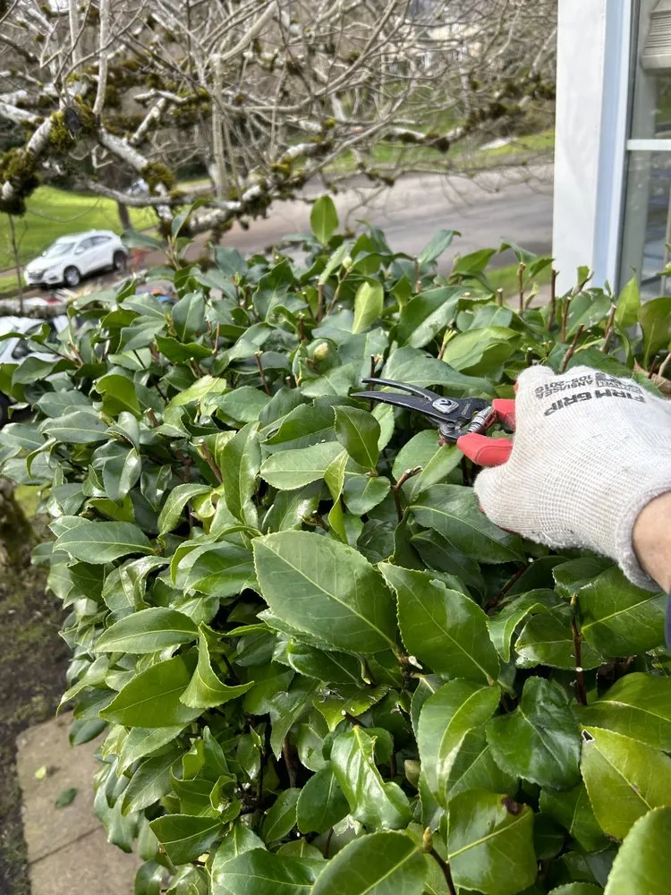 Local landscape design experts serving Portland, OR - Ore-Green Gardening