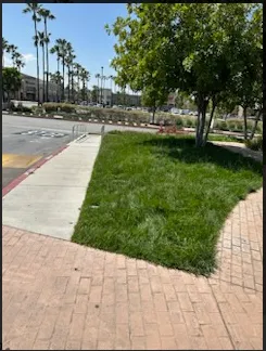 Custom landscape design for outdoor upgrades across Whittier, CA - Oreas Gardening