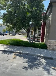 Custom garden landscaping in Whittier, CA - Oreas Gardening