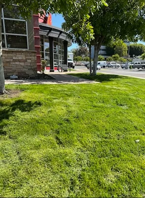 Oreas Gardening Logo