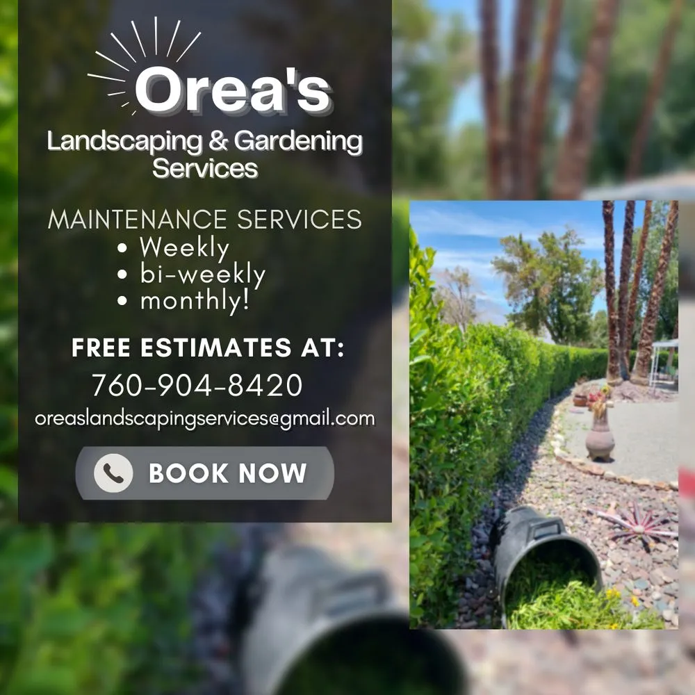Trusted lawn mowing service for residential properties in Palm Springs, CA by Orea's Landscaping & Gardening Services