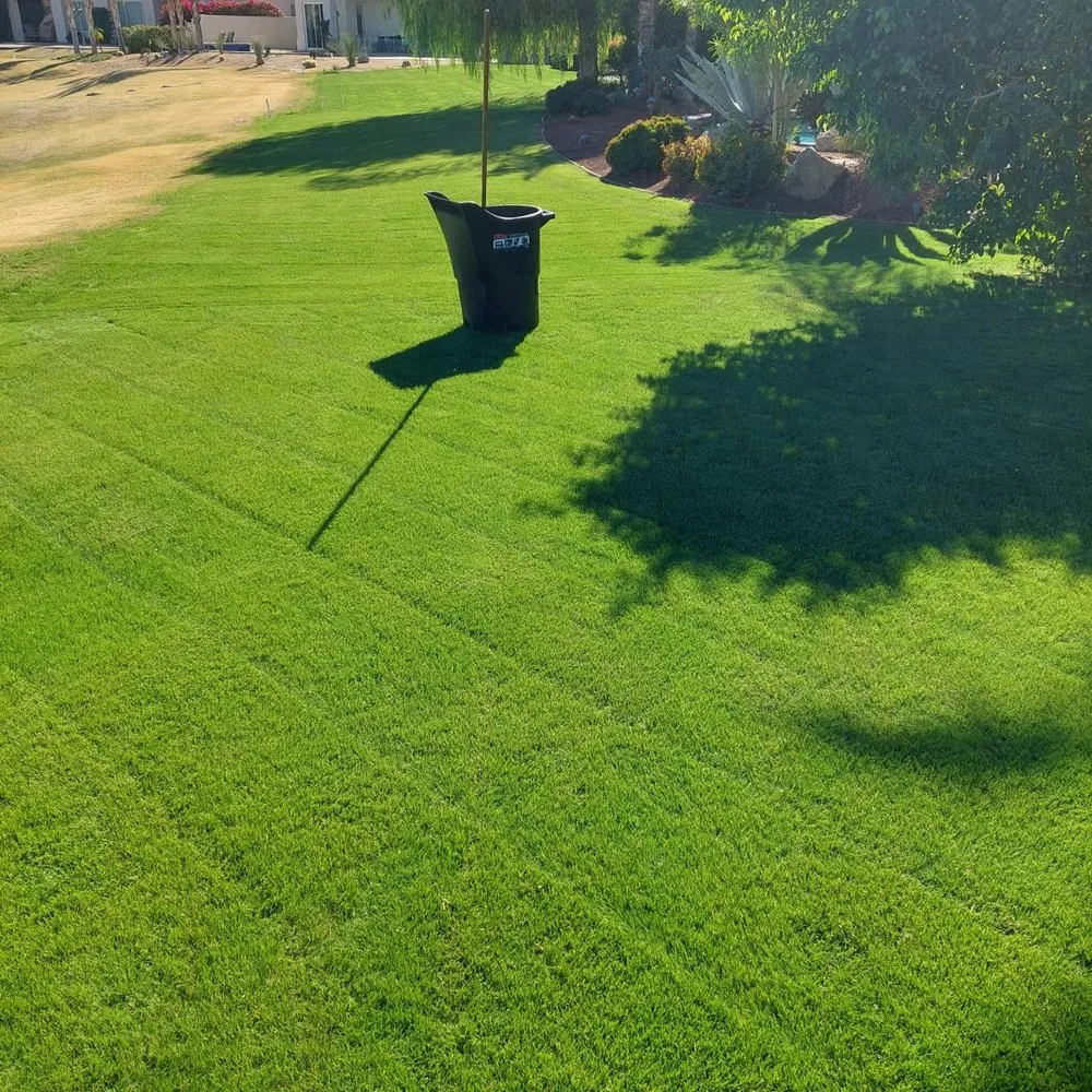 Expert lawn care service for homes across Palm Springs, CA - Orea's Landscaping & Gardening Services