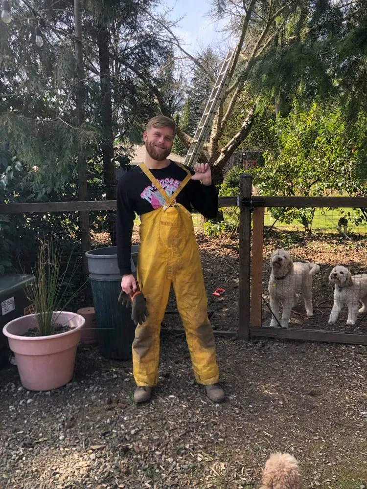 Trusted yard maintenance for outdoor upgrades across Portland, OR - Oregon Garden Ninjas