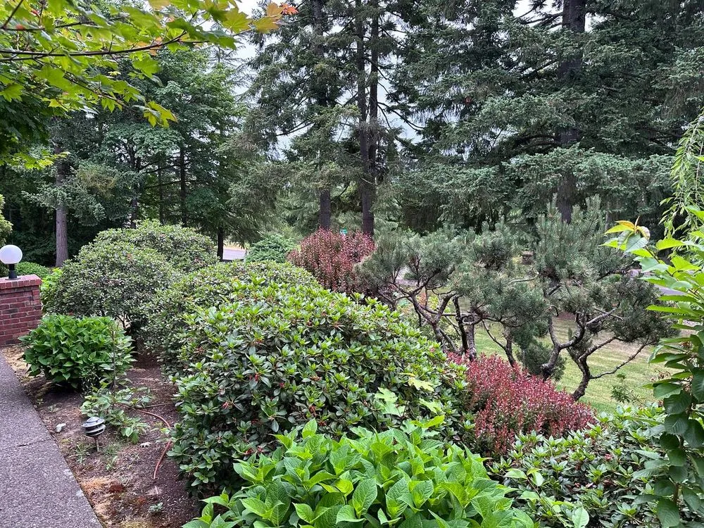 Affordable lawn care service with custom design across Portland, OR - Oregon Garden Ninjas