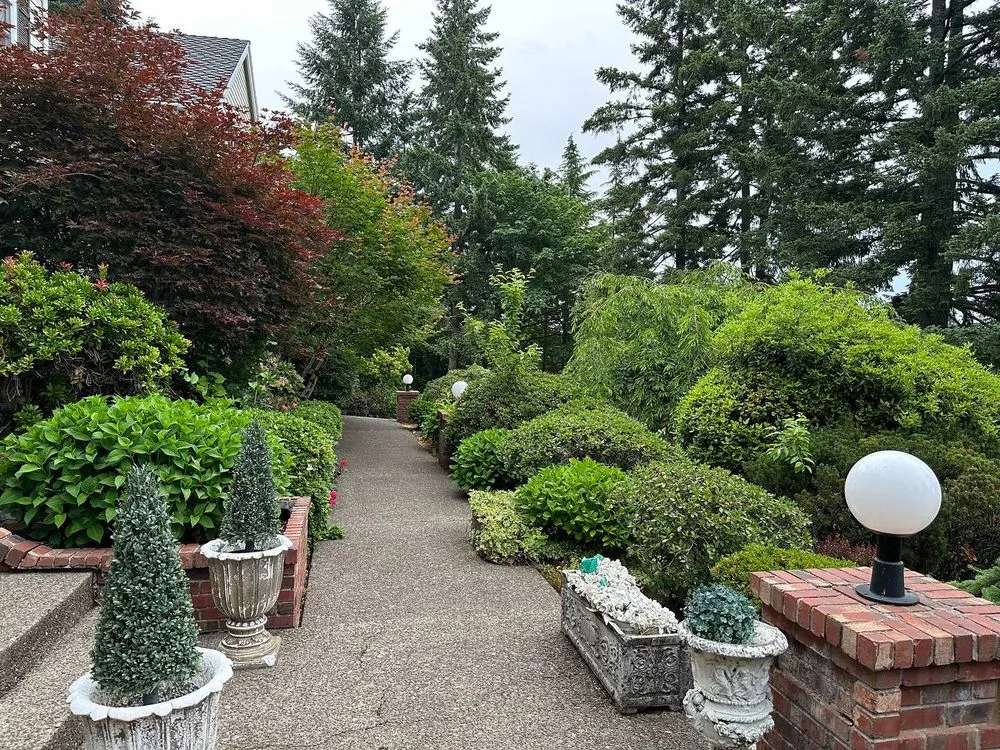 Affordable yard cleanup service in Portland, OR - Oregon Garden Ninjas