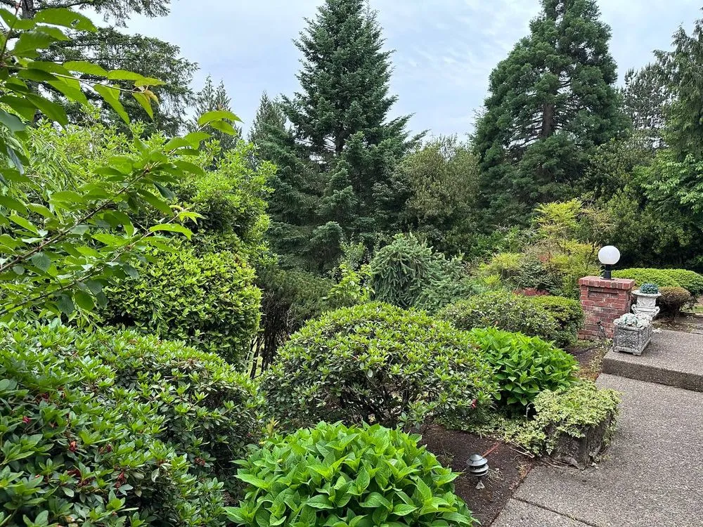Custom yard cleanup service for residential properties in Portland, OR by Oregon Garden Ninjas