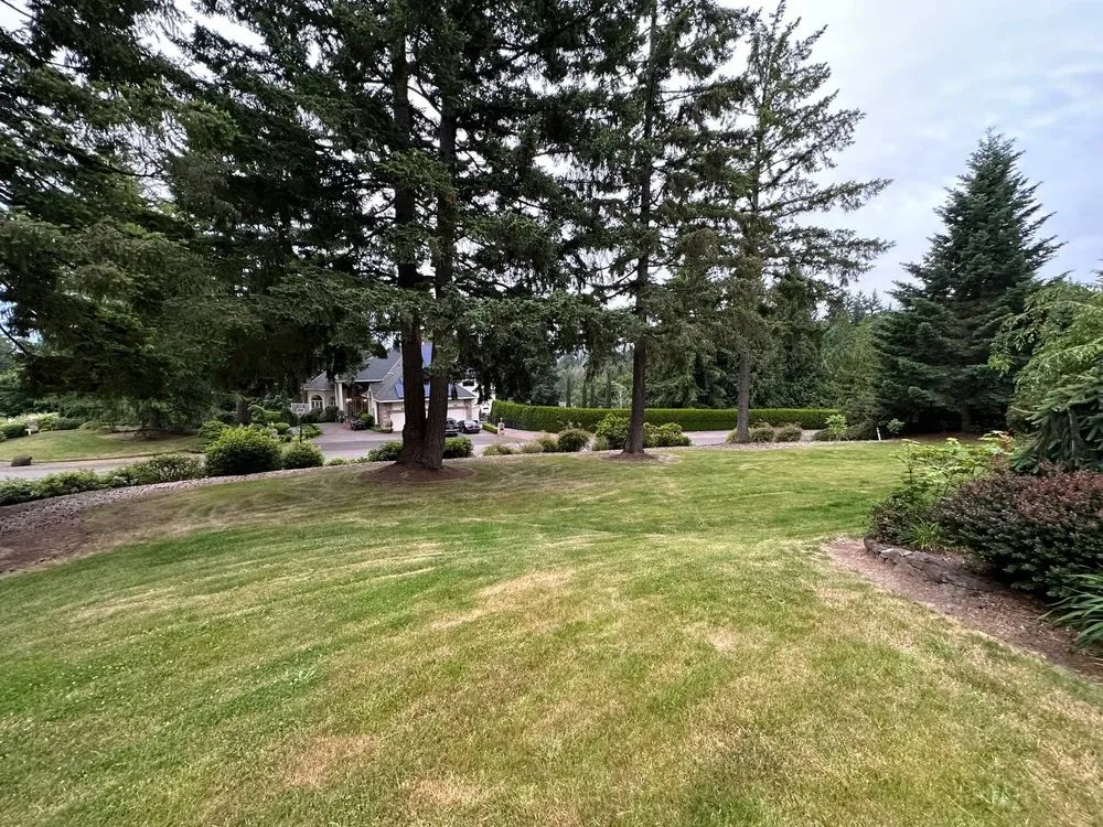 Local landscaping services experts serving Portland, OR - Oregon Garden Ninjas