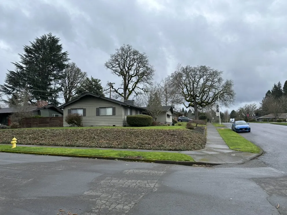 Top-rated landscape design in Portland, OR - Oregon Garden Ninjas