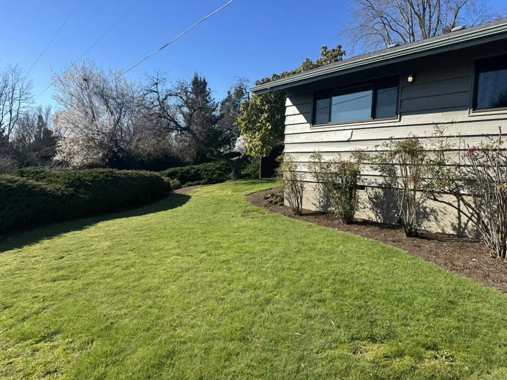 Trusted garden landscaping for year-round maintenance in Portland, OR by Oregon Garden Ninjas