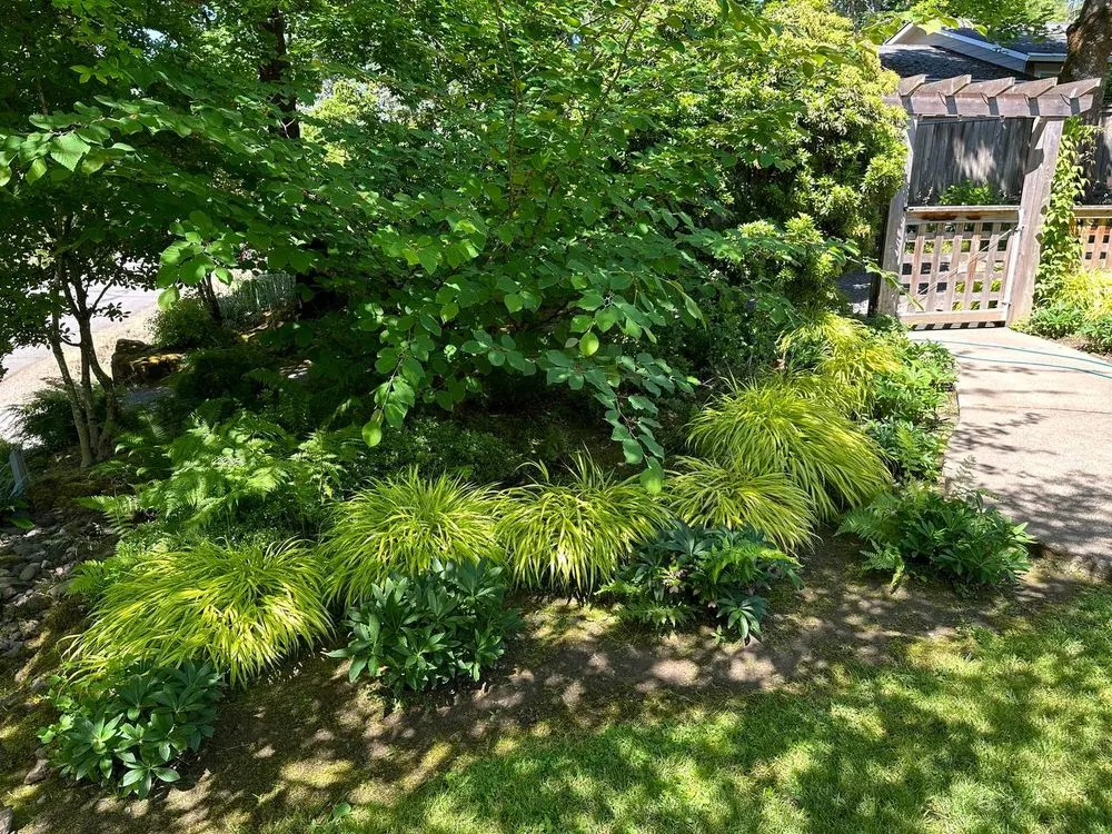 Top-rated lawn mowing service for residential properties in Portland, OR by Oregon Garden Ninjas