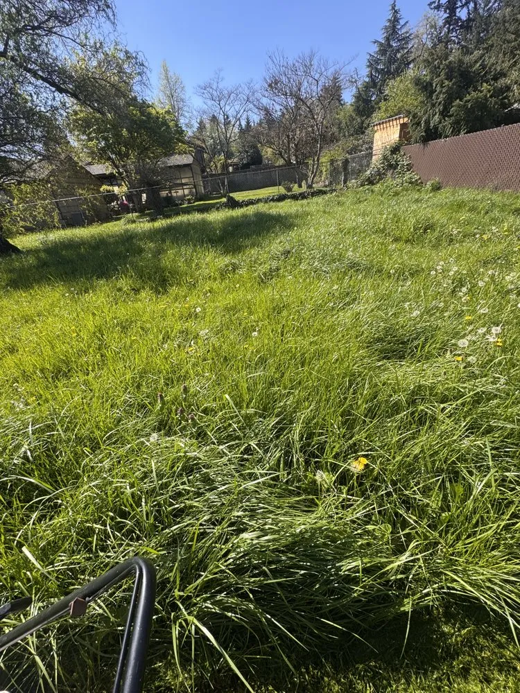 Expert landscape installation near you across Springfield, OR - Oregon General Contractor