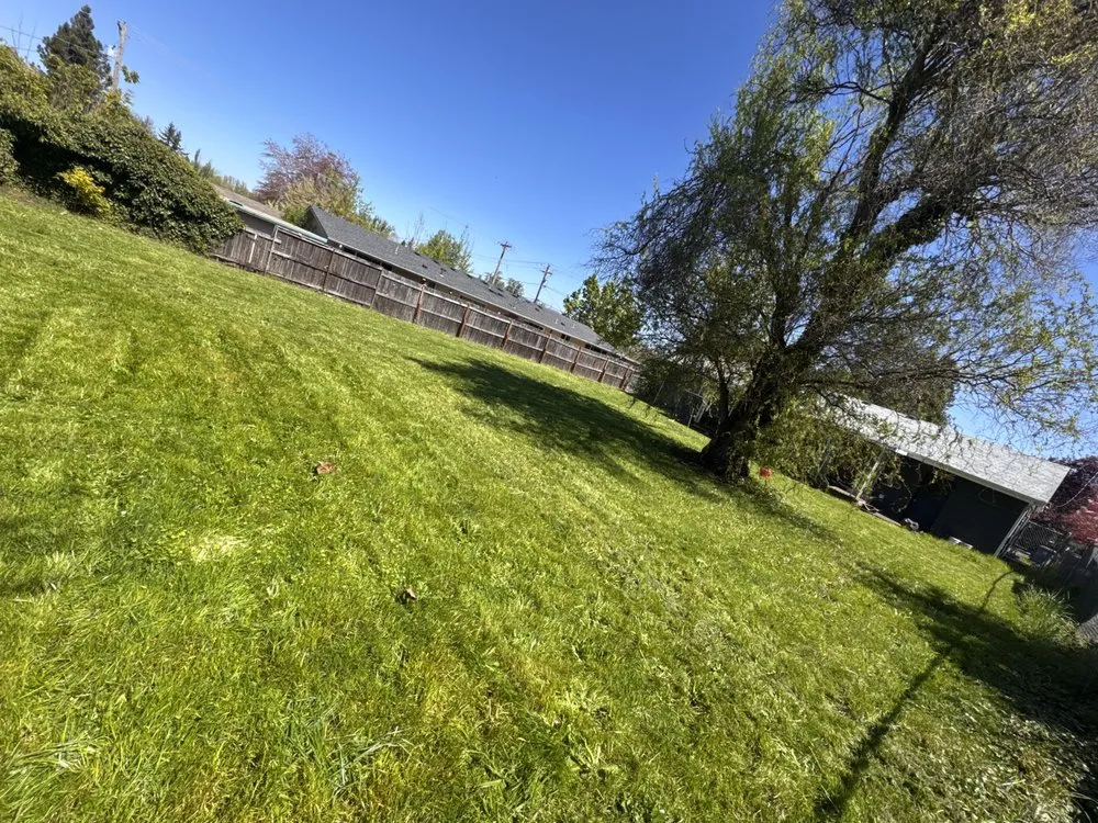Local residential landscaping for beautiful yards across Springfield, OR - Oregon General Contractor