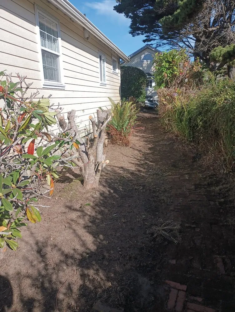 Affordable residential landscaping for residential properties across Newport, OR - Oregon Green Landscaping
