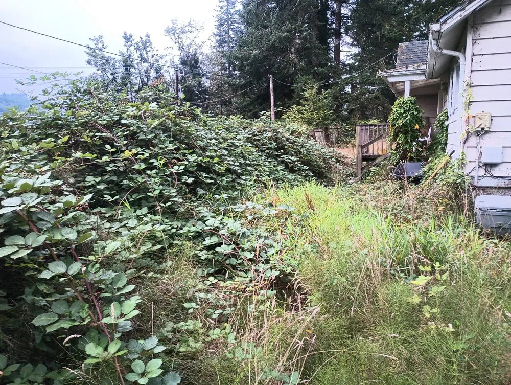 Custom lawn mowing service in Newport, OR by Oregon Green Landscaping