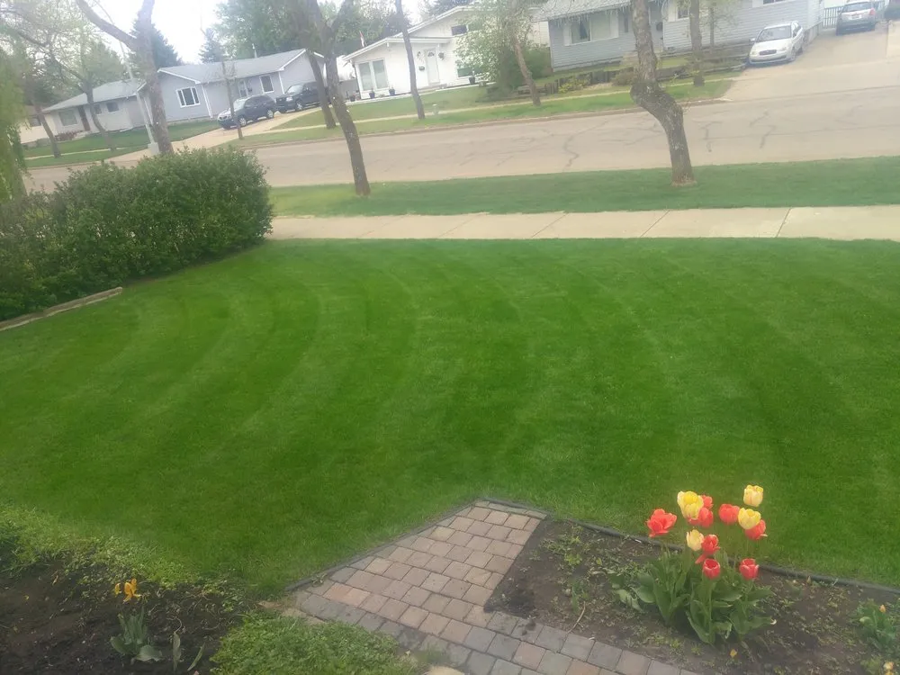 Custom residential landscaping experts serving Newport, OR - Oregon Green Landscaping