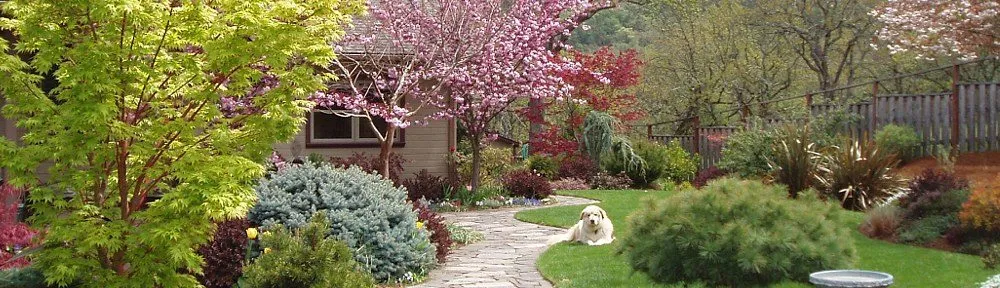 Trusted lawn mowing service experts serving Medford, OR - Oregon Landscape & Design
