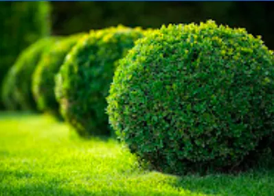 Affordable garden landscaping for year-round maintenance across Klamath Falls, OR - Oregon Landscape Company