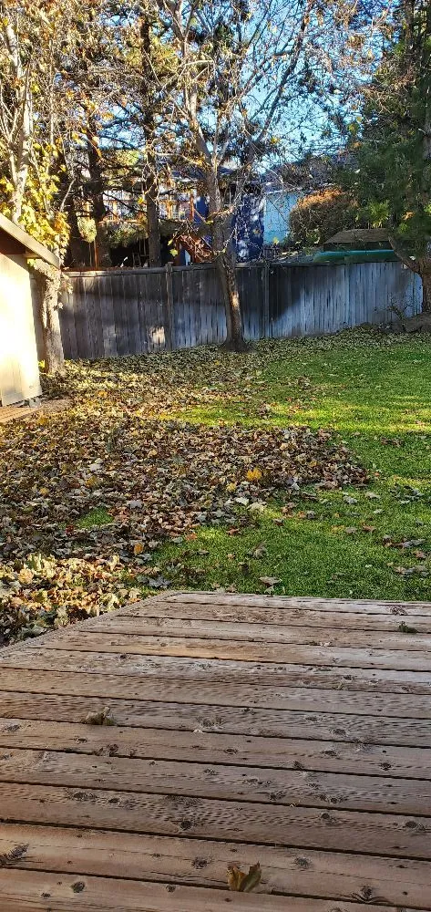 Reliable yard maintenance with custom design in Bend, OR by Oregon Lawn Care Junk Removal