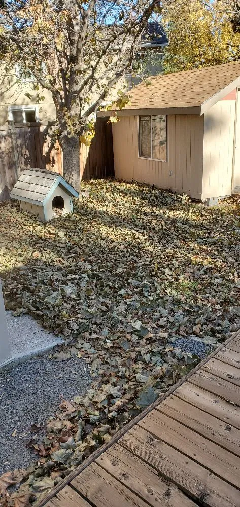 Expert outdoor landscaping in Bend, OR - Oregon Lawn Care Junk Removal