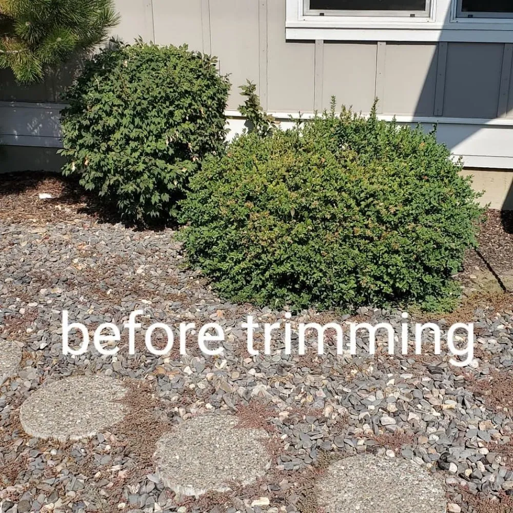 Local lawn care service in Bend, OR - Oregon Lawn Care Junk Removal