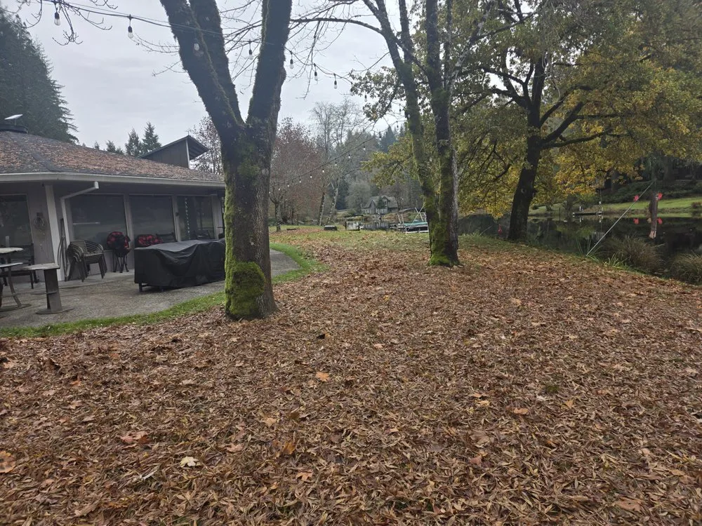 Local landscaping services experts serving Birkenfeld, OR - Oregon Natural Landscapes