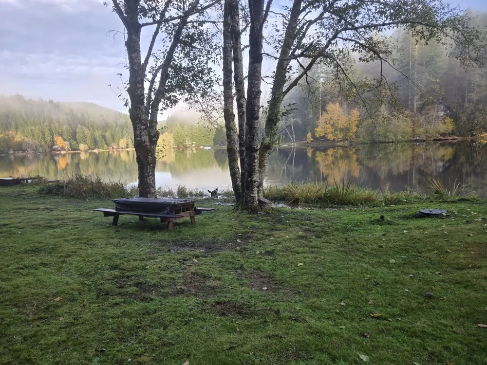 Reliable yard maintenance in Birkenfeld, OR by Oregon Natural Landscapes