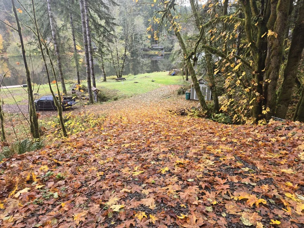 Professional landscape design in Birkenfeld, OR by Oregon Natural Landscapes