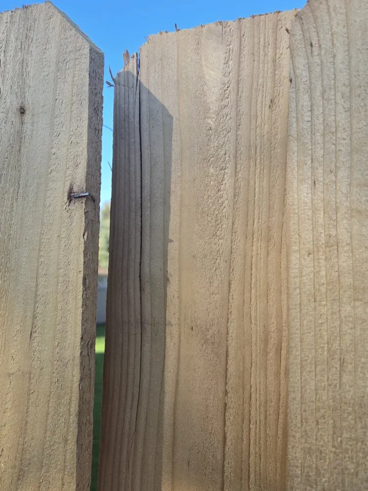 Expert yard maintenance for outdoor upgrades across Portland, OR - Oregon Quality Cuts