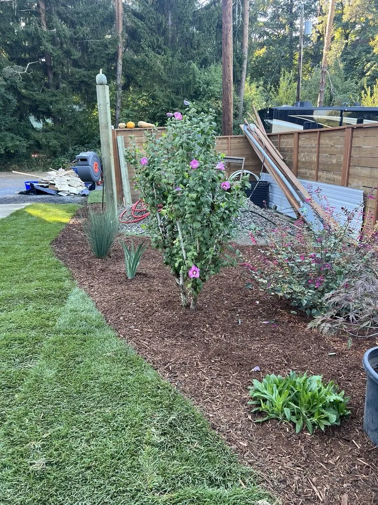 Trusted yard maintenance in Portland, OR - Oregon Quality Cuts