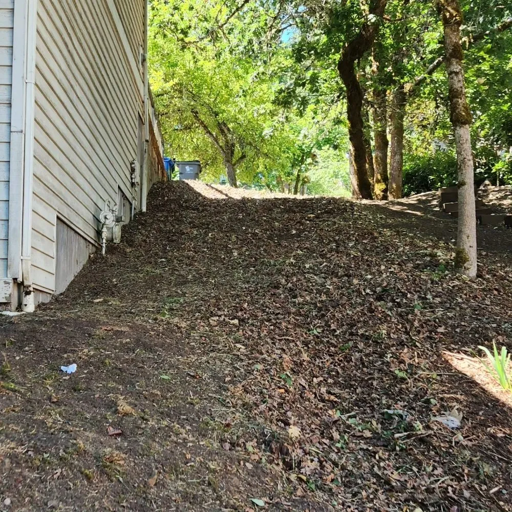 Trusted lawn care service experts serving Junction City, OR - Oregon Yard Care & Construction