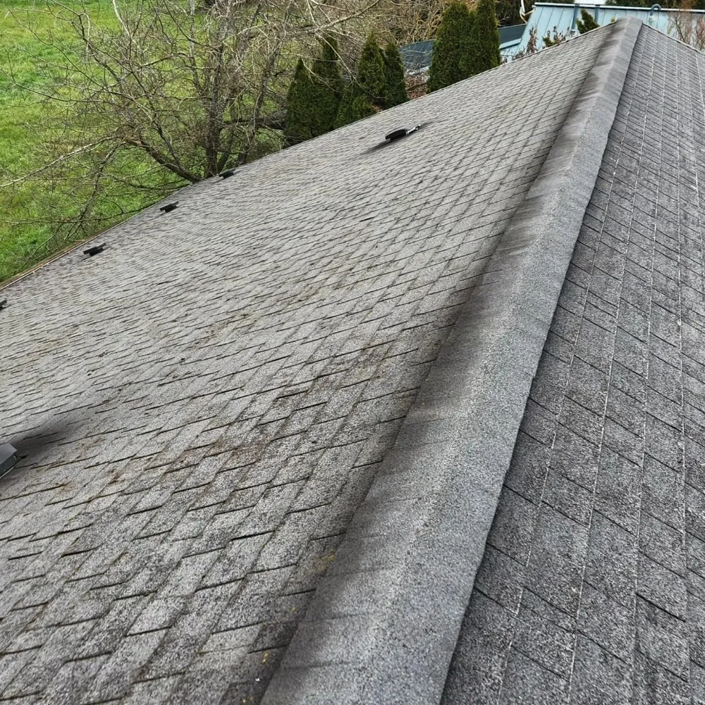 Trusted yard cleanup service experts serving Junction City, OR - Oregon Yard Care & Construction