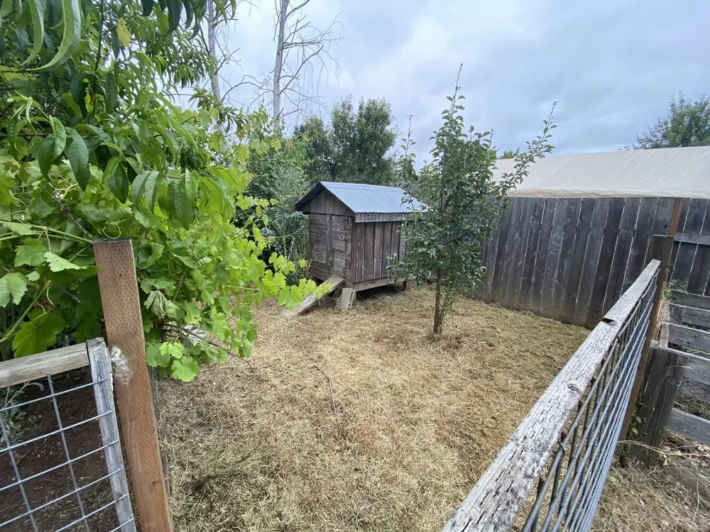 Affordable outdoor landscaping in Eugene, OR - Oregons Finest Lawns