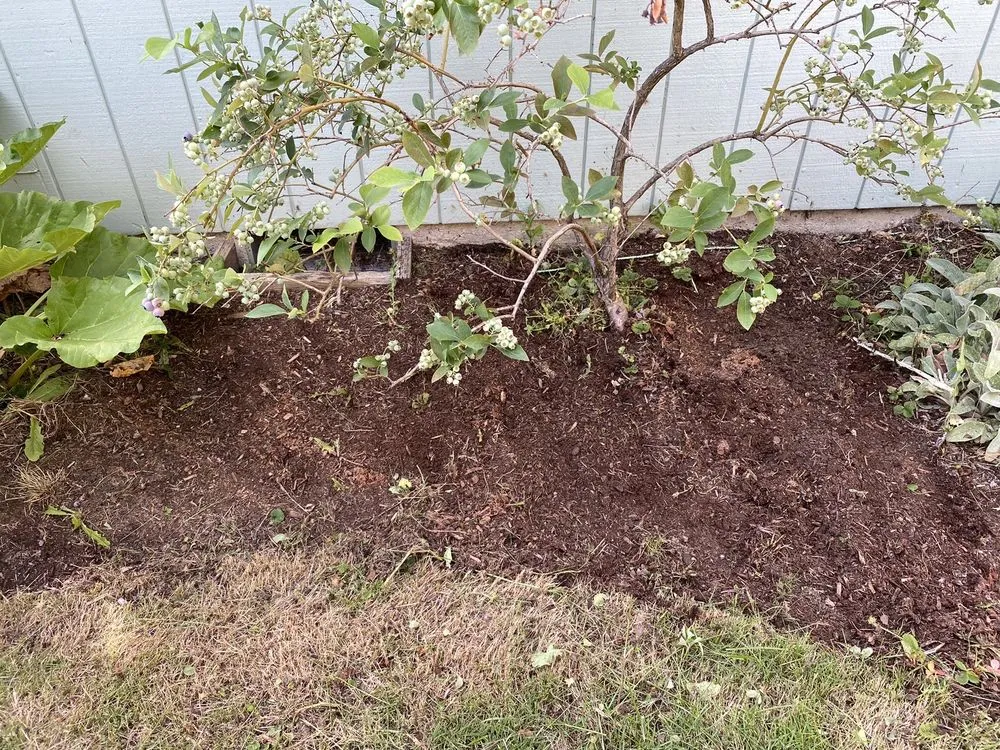 Affordable landscaping services near you across Eugene, OR - Oregons Finest Lawns