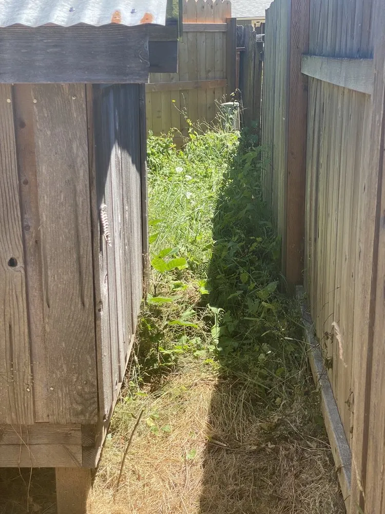 Reliable landscape design for outdoor upgrades in Eugene, OR by Oregons Finest Lawns