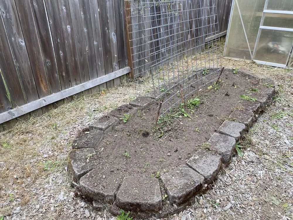 Expert yard maintenance for homes in Eugene, OR by Oregons Finest Lawns