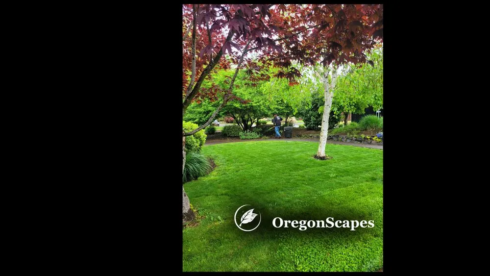 Expert landscape installation experts serving Eugene, OR - OregonScapes