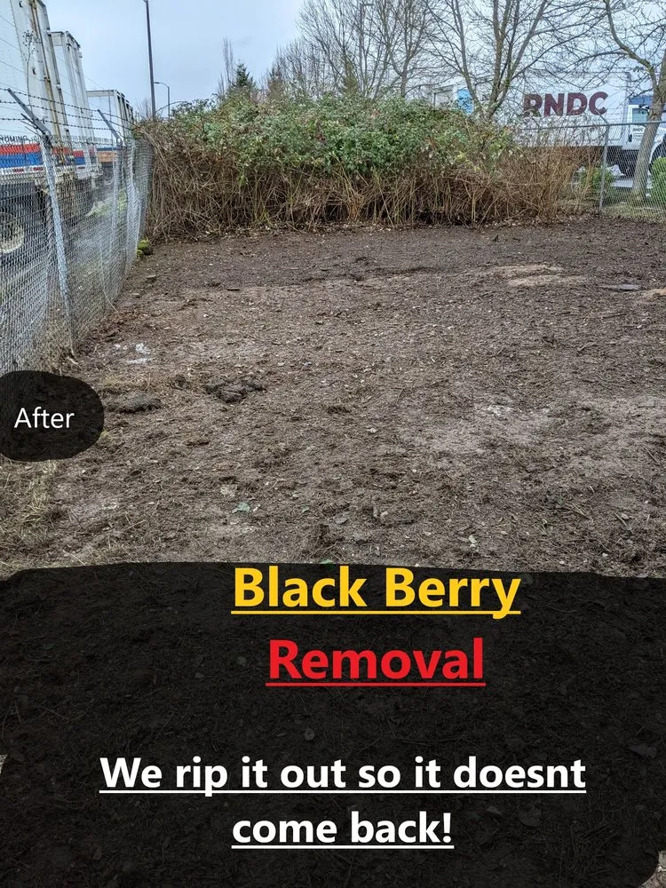 Professional outdoor landscaping in Eugene, OR - OregonScapes